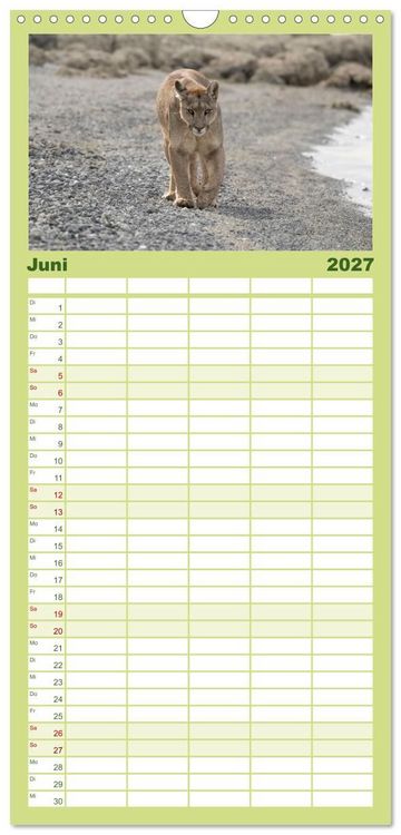 Produktbild: Familienplaner 2027 - Wildlife S&uuml;damerika mit 5 Spalten (Wandkalender, 21 x 45 cm) CALVENDO