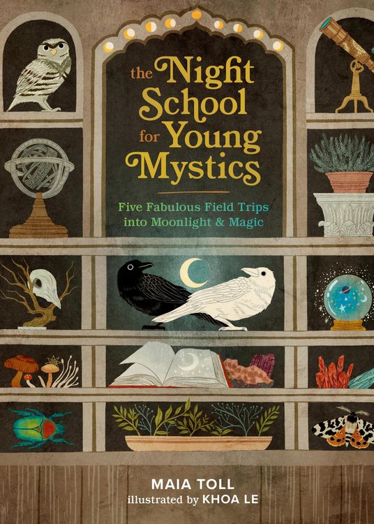 Produktbild: The Night School for Young Mystics