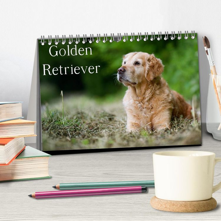 Produktbild: Golden Retriever (Tischkalender 2026 DIN A5 quer), CALVENDO Monatskalender