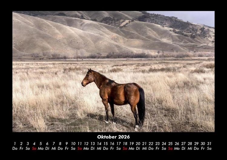 Produktbild: Die Welt der Pferde 2026 Fotokalender DIN A3