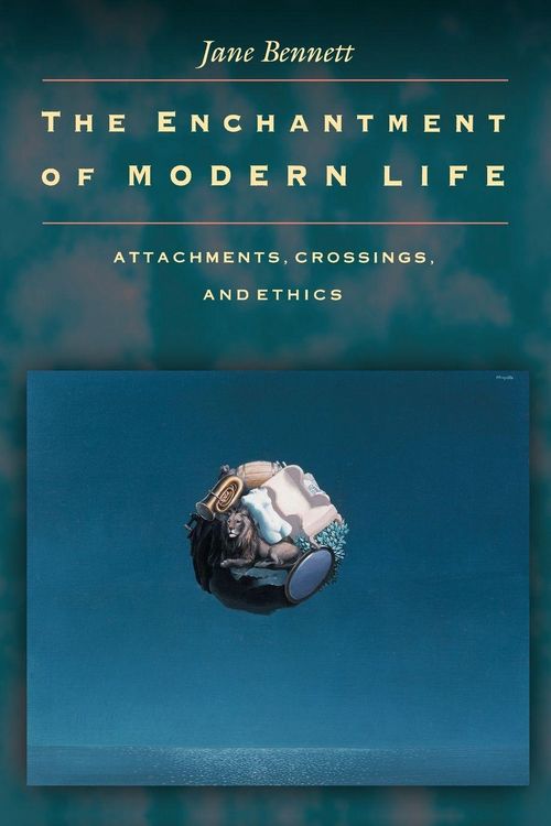 Produktbild: The Enchantment of Modern Life