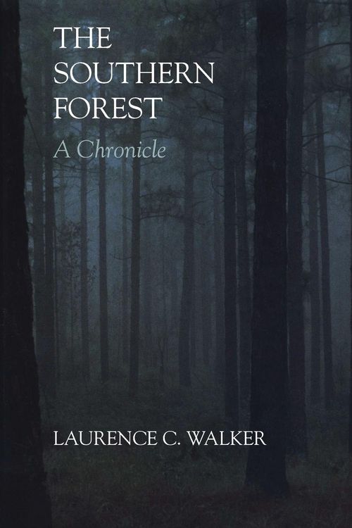 Produktbild: The Southern Forest