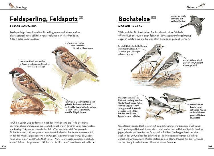 Produktbild: Einfach Gartenv&ouml;gel