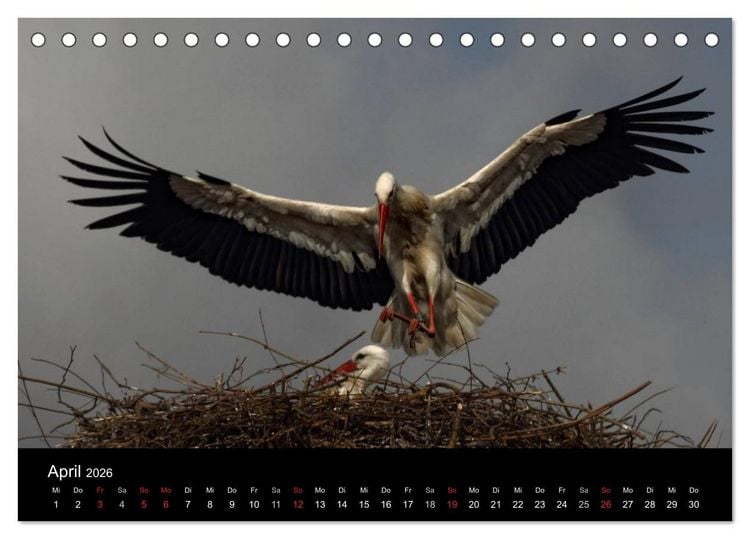 Produktbild: St. Peter-Ording (Tischkalender 2026 DIN A5 quer), CALVENDO Monatskalender