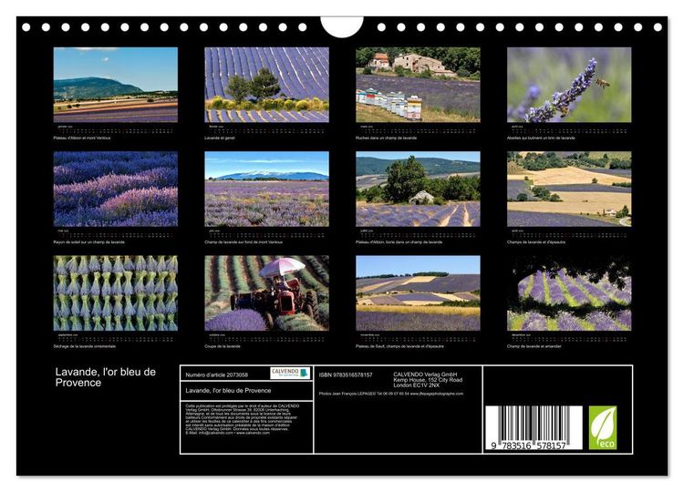 Produktbild: Lavande, l'or bleu de Provence (Calendrier mural 2026 DIN A4 vertical), CALVENDO calendrier mensuel