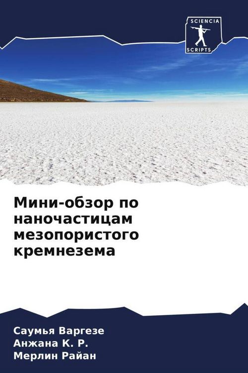 Produktbild: Mini-obzor po nanochasticam mezoporistogo kremnezema