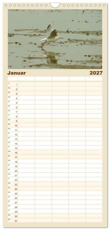 Produktbild: Familienplaner 2027 - An der Nordsee mit 5 Spalten (Wandkalender, 21 x 45 cm) CALVENDO