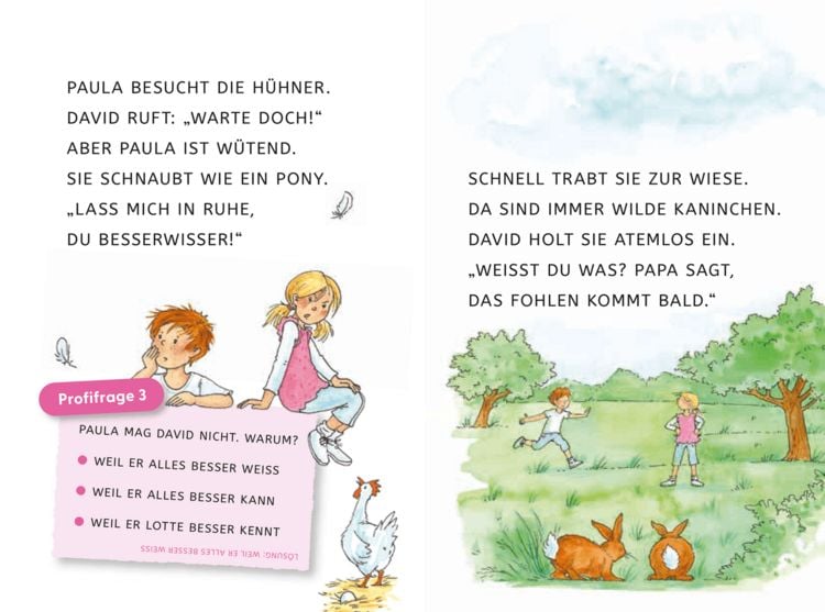 Produktbild: Leseprofis &ndash; GROSSBUCHSTABEN: EIN FOHLEN NAMENS SCHNUPPE, 1. Klasse