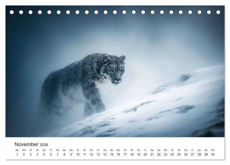 Produktbild: Geist des Gebirges - Ein Jahr in der wilden Welt der Schneeleoparden (Tischkalender 2026 DIN A5 quer), CALVENDO Monatskalender