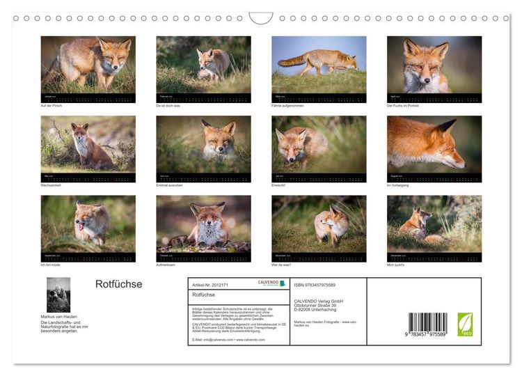 Produktbild: Rotf&uuml;chse (Wandkalender 2026 DIN A3 quer), CALVENDO Monatskalender