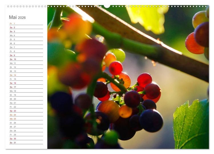 Produktbild: Wein (hochwertiger Premium Wandkalender 2026 DIN A2 quer), Kunstdruck in Hochglanz