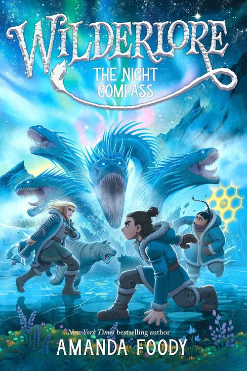 Produktbild: The Night Compass