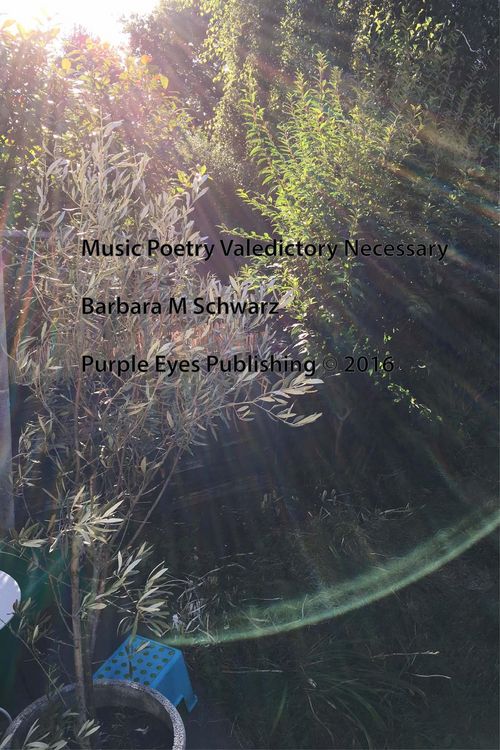 Produktbild: Music Poetry Valedictory Necessary
