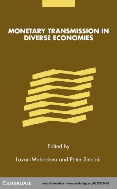 Produktbild: Monetary Transmission in Diverse Economies