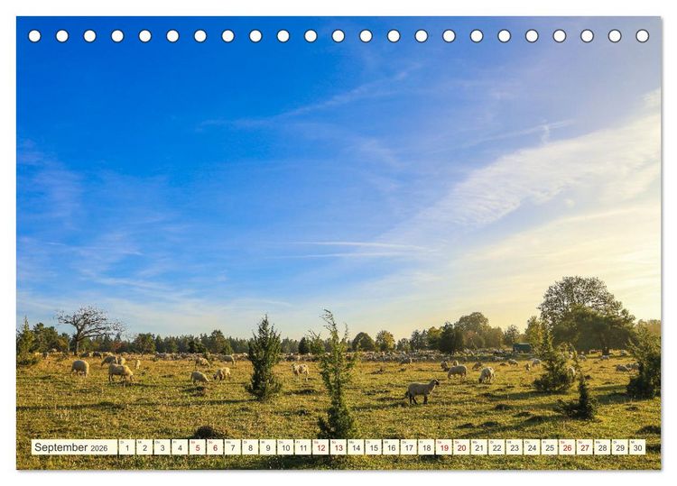 Produktbild: Impressionen aus dem Oberen Donautal (Tischkalender 2026 DIN A5 quer), CALVENDO Monatskalender