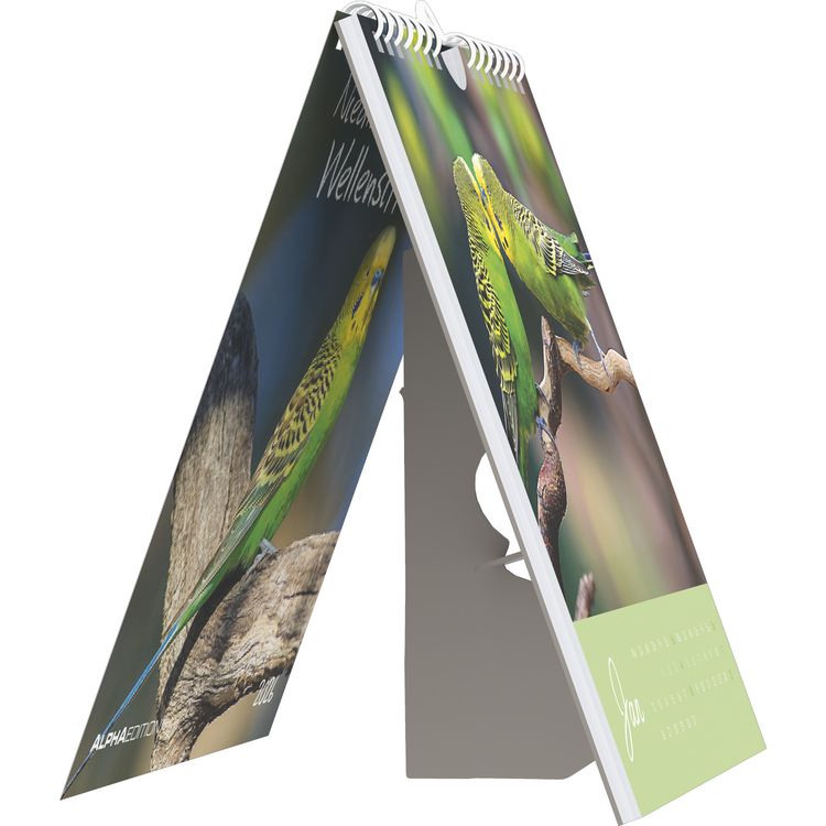 Produktbild: Niedliche Wellensittiche 2026 - Postkartenkalender 16x17 cm - Budgies - zum Aufstellen oder Aufhängen - Monatskalendarium - Gadget - Mitbringsel - Alp
