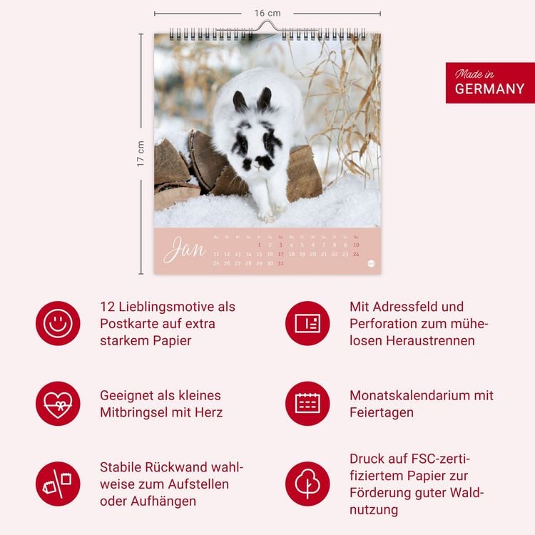Produktbild: S&uuml;&szlig;e Kaninchen Postkartenkalender 2027