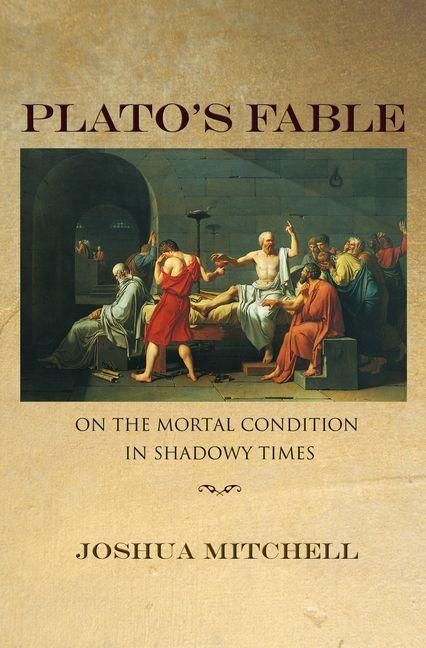 Produktbild: Plato's Fable