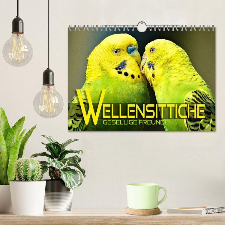 Produktbild: Wellensittiche - gesellige Freunde (Wandkalender 2026 DIN A4 quer), CALVENDO Monatskalender