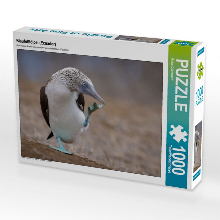 Produktbild: CALVENDO Puzzle Blaufu&szlig;t&ouml;lpel (Ecuador) | 1000 Teile Lege-Gr&ouml;&szlig;e 64x48cm Foto-Puzzle f&uuml;r gl&uuml;ckliche Stunden