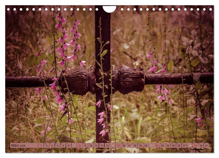 Produktbild: Wildwuchs 2026 (Wandkalender 2026 DIN A4 quer), CALVENDO Monatskalender