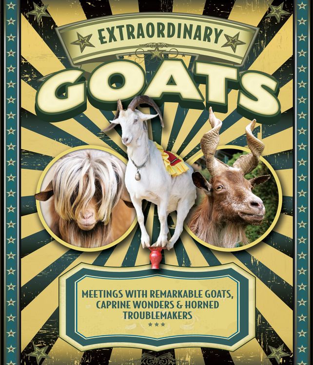 Produktbild: Extraordinary Goats