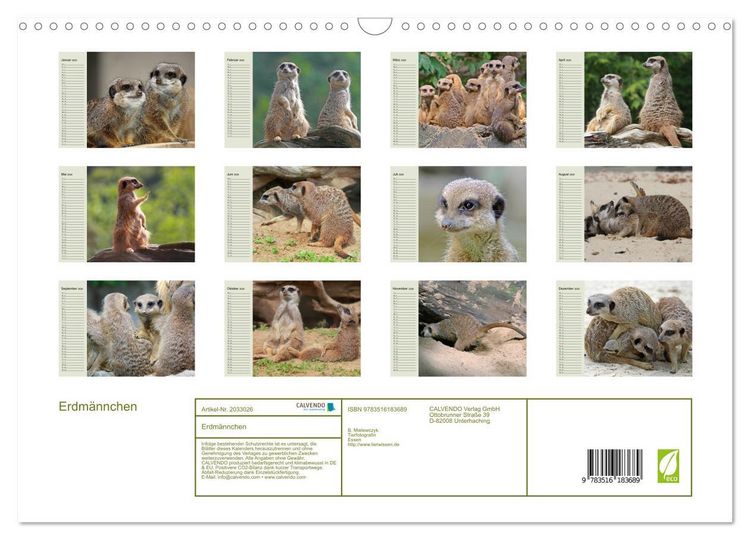 Produktbild: Erdm&auml;nnchen (Wandkalender 2026 DIN A3 quer), CALVENDO Monatskalender