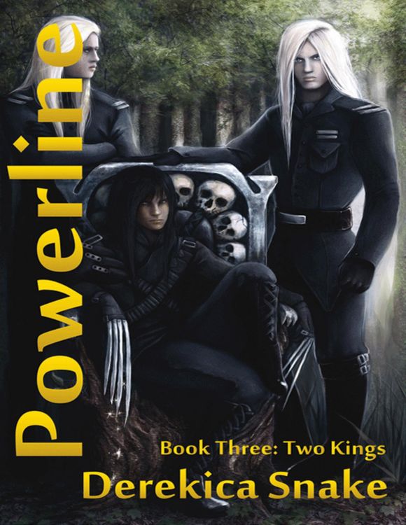 Produktbild: Powerline : Book Three : Two Kings