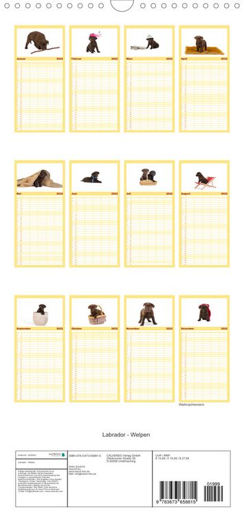Produktbild: Familienplaner Labrador - Welpen (Wandkalender 2022 , 21 cm x 45 cm, hoch)