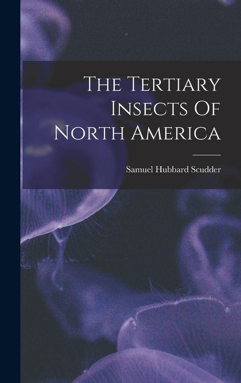 Produktbild: The Tertiary Insects Of North America