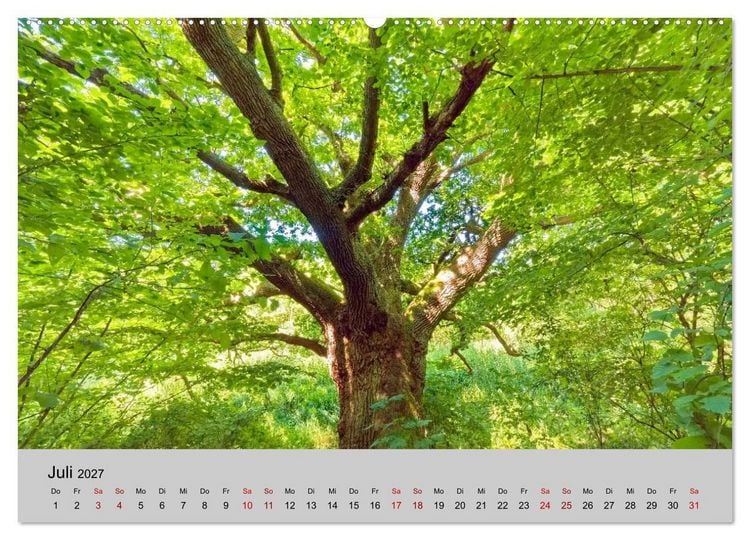 Produktbild: Biosph&auml;renreservat Schaalsee (Wandkalender 2027 DIN A2 quer), CALVENDO Monatskalender