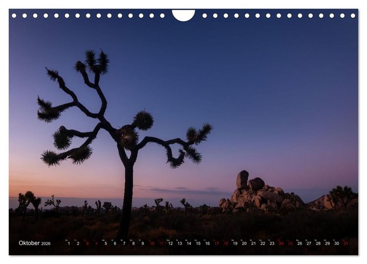 Produktbild: Wild, Wide, West (Wandkalender 2026 DIN A4 quer), CALVENDO Monatskalender