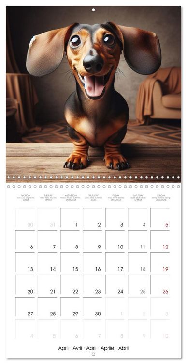 Produktbild: Joie animale - Une ann&eacute;e de sourires et d'&eacute;nergie positive (Calendrier mural carr&eacute; 2026 30x30 cm) Calendrier double avec une page pour vos prises de notes