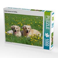 Produktbild: CALVENDO Puzzle Golden Retriever im Fr&uuml;hling 1000 Teile Lege-Gr&ouml;&szlig;e 64 x 48 cm Foto-Puzzle Bild von SchnelleWelten