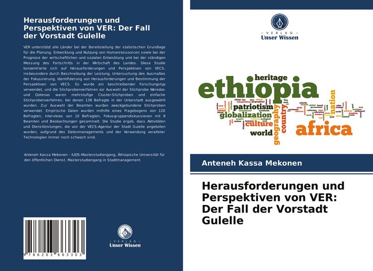Produktbild: Herausforderungen und Perspektiven von VER: Der Fall der Vorstadt Gulelle