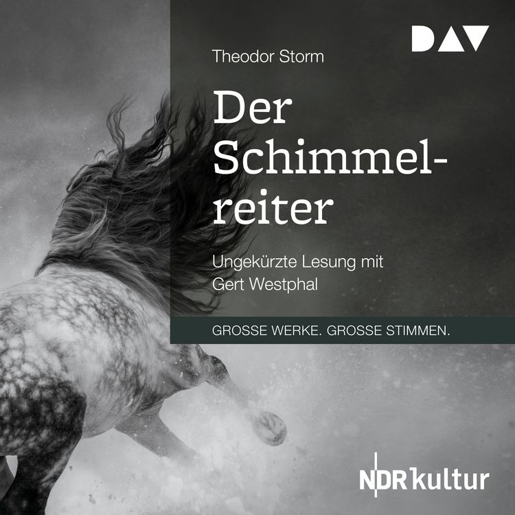 Produktbild: Der Schimmelreiter