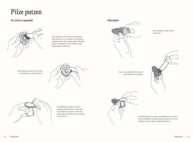 Produktbild: Pilze. Das Kochbuch