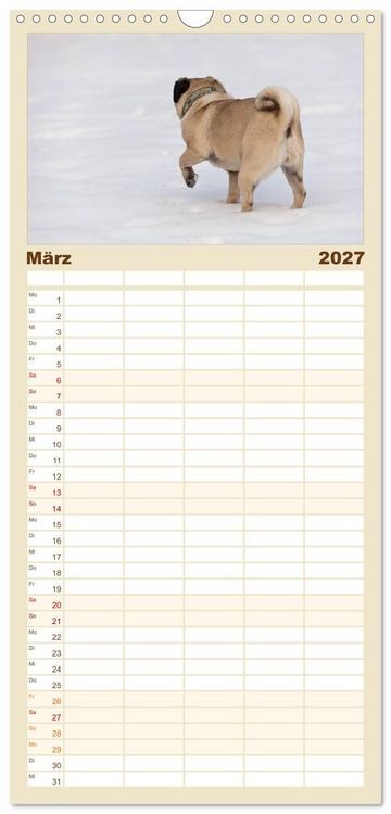 Produktbild: Familienplaner 2027 - Mops mit 5 Spalten (Wandkalender, 21 x 45 cm) CALVENDO