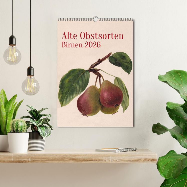 Produktbild: Alte Obstsorten - Birnen 2026 (Wandkalender 2026 DIN A3 hoch), CALVENDO Monatskalender