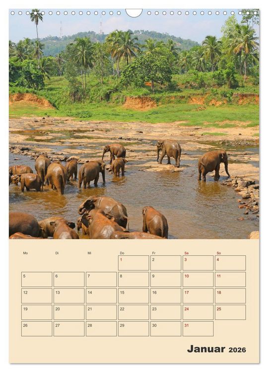 Produktbild: Sri Lanka - Terminplaner (Wandkalender 2026 DIN A3 hoch), CALVENDO Monatskalender