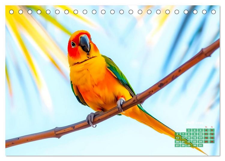 Produktbild: Leuchtend farbenfrohe V&ouml;gel (Tischkalender 2026 DIN A5 quer), CALVENDO Monatskalender