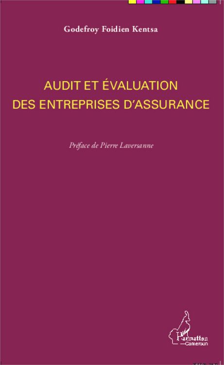 Produktbild: Audit et &eacute;valuation des entreprises d'assurance