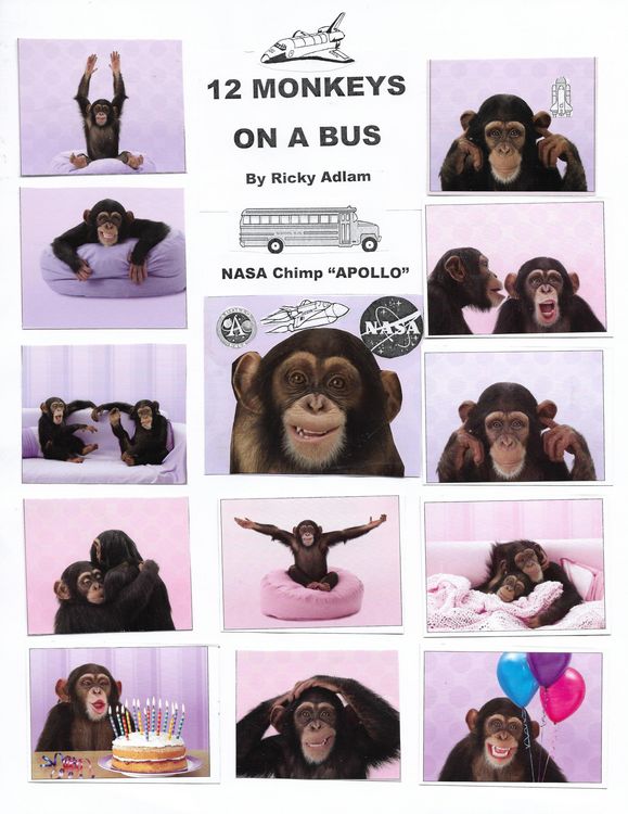 Produktbild: Twelve Monkeys on a Bus