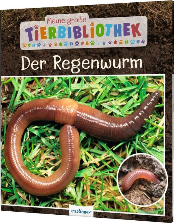 Produktbild: Meine große Tierbibliothek: Der Regenwurm