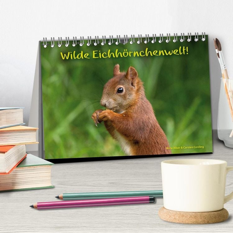 Produktbild: Wilde Eichh&ouml;rnchenwelt! (Tischkalender 2026 DIN A5 quer), CALVENDO Monatskalender