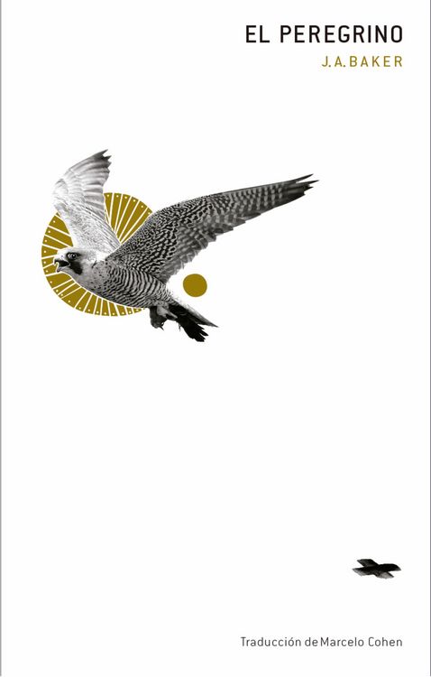 Produktbild: El peregrino