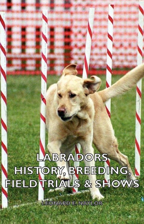 Produktbild: Labradors - History, Breeding, Field Trials & Shows