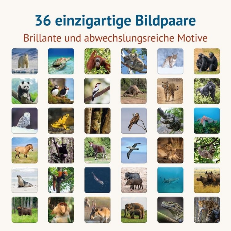 Produktbild: Einzigartig - Bedrohte Tierarten - Memospiel