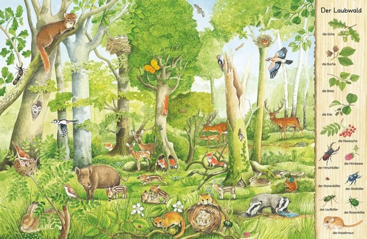 Produktbild: Mein erstes Wimmelbuch: Im Wald