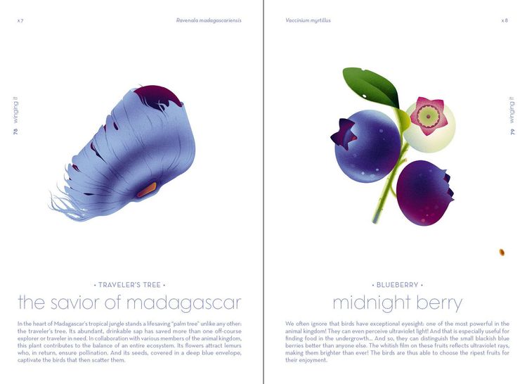 Produktbild: Seeds